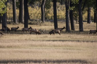 Enlarge photo 79