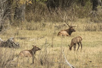 Enlarge photo 94