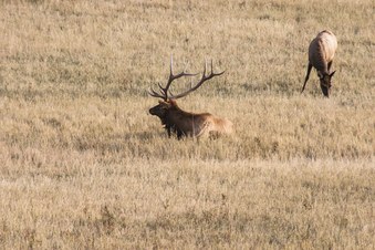 Enlarge photo 110
