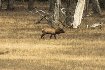 Enlarge photo 118