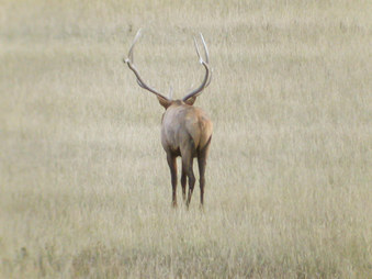 Enlarge photo 165