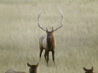 Enlarge photo 167