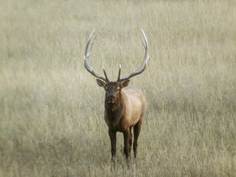 Enlarge photo 169