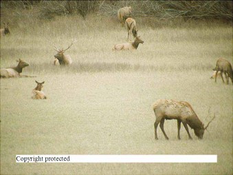 Enlarge photo 145