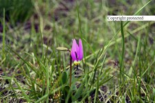 Enlarge photo 66