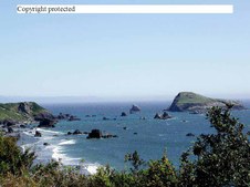Enlarge photo 25