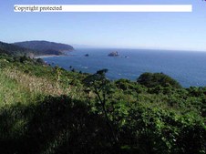 Enlarge photo 26