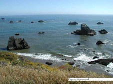 Enlarge photo 30