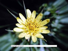 Enlarge photo 50