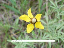 Enlarge photo 49