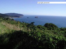 Enlarge photo 27