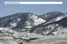 Enlarge photo 72
