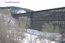 Enlarge photo 74