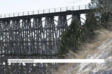Enlarge photo 75
