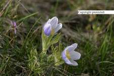 Enlarge photo 65