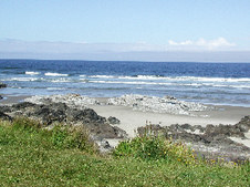 Enlarge photo 35