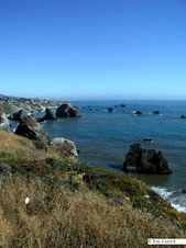 Enlarge photo 31