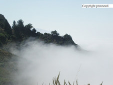 Enlarge photo 38