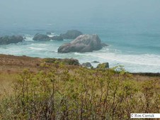 Enlarge photo 40