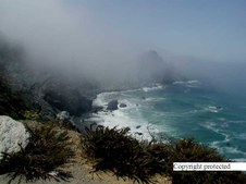 Enlarge photo 41