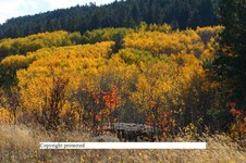 Enlarge photo 96