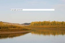 Enlarge photo 102