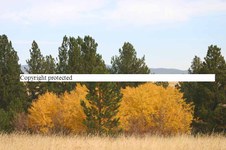 Enlarge photo 101