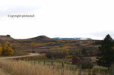 Enlarge photo 103