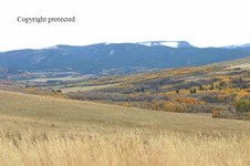 Enlarge photo 104