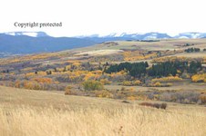 Enlarge photo 105