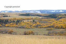 Enlarge photo 106