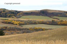 Enlarge photo 109
