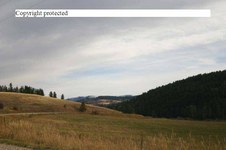 Enlarge photo 110