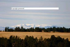 Enlarge photo 111