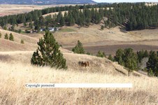 Enlarge photo 112