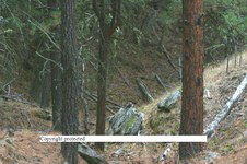 Enlarge photo 113