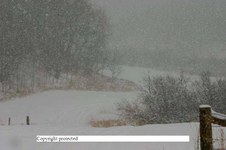 Enlarge photo 123