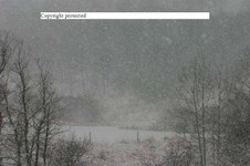 Enlarge photo 124