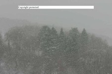 Enlarge photo 126