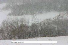 Enlarge photo 127