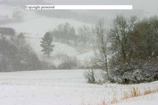 Enlarge photo 128