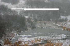 Enlarge photo 131