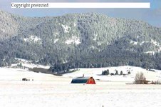 Enlarge photo 132