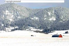 Enlarge photo 133