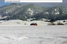Enlarge photo 134