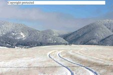 Enlarge photo 135