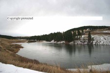 Enlarge photo 122