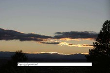 Enlarge photo 141