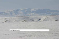 Enlarge photo 136