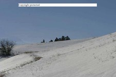 Enlarge photo 115